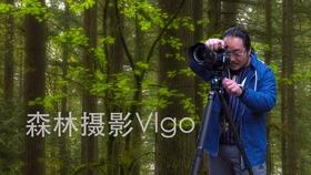 怎样分别紫砂壶的好坏-智能问答网页,快速解答您的疑问